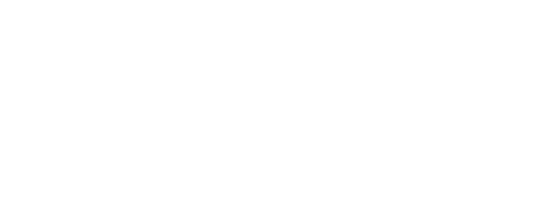 Momentum Group